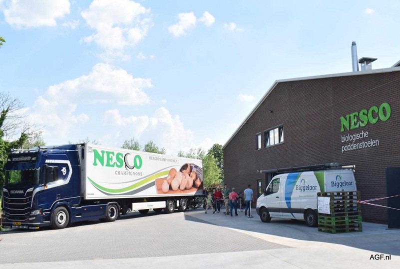 近年來(lái)，荷蘭食用菌產(chǎn)業(yè)發(fā)展情況如何？