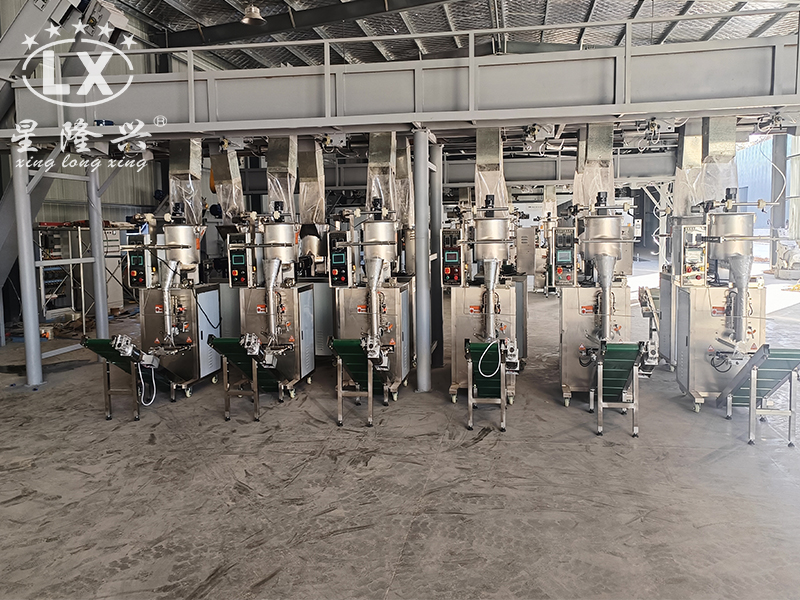 羊肚菌生產(chǎn)線