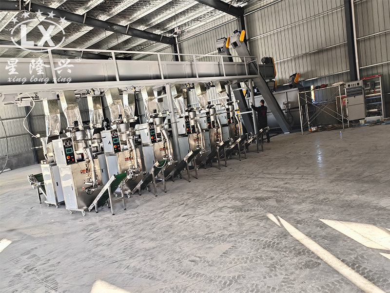 羊肚菌生產(chǎn)線